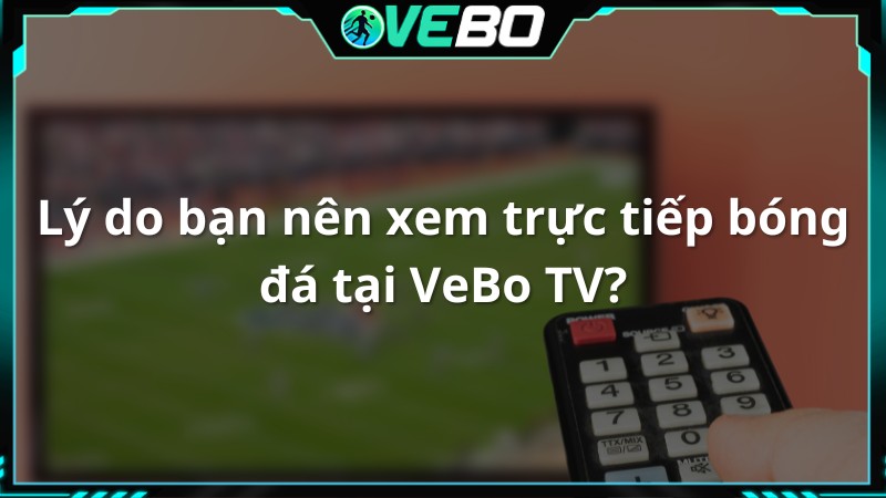 Lý do bạn nên xem trực tiếp bóng đá tại VeBo TV?